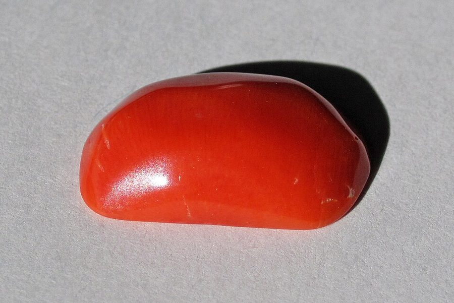 Red coral